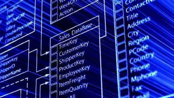 數(shù)據(jù)驅(qū)動未來 一所值得你首選的大學如何打造卓越的數(shù)據(jù)處理與存儲支持服務